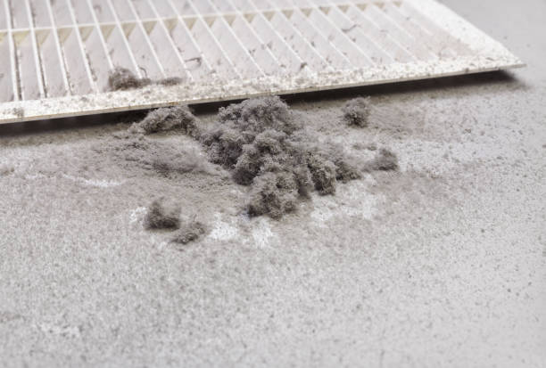 Best HVAC Duct Inspection Services  in Harleigh, PA