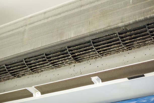 Best Affordable Duct Cleaning Services  in Harleigh, PA